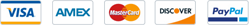footer-payment