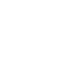 Decorative Window Tinting