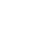 Rental Vehicles